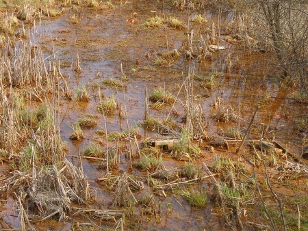 Чертановский пейзаж