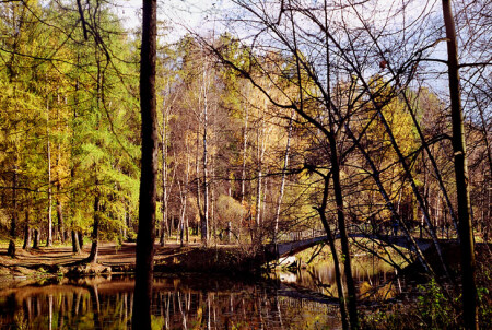 По ту сторону зеркала