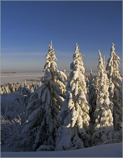 Мороз и солнце...