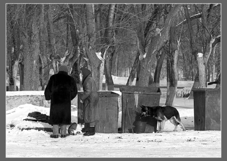 Разговоры за жисть