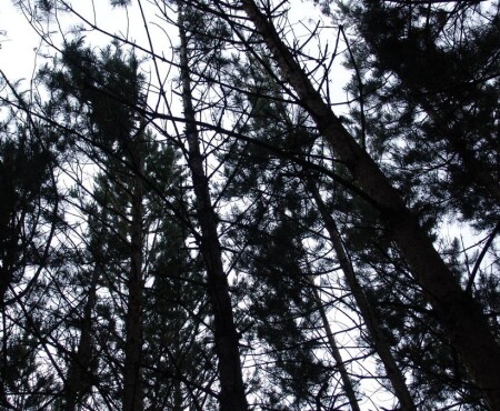 бесконечность