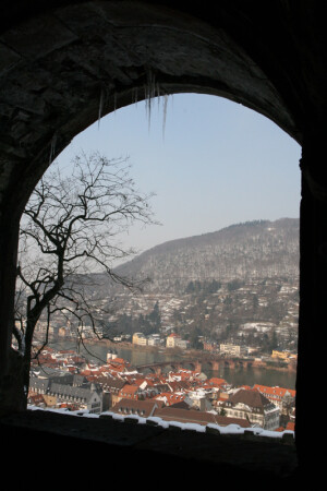 Окно в Гейдельберг