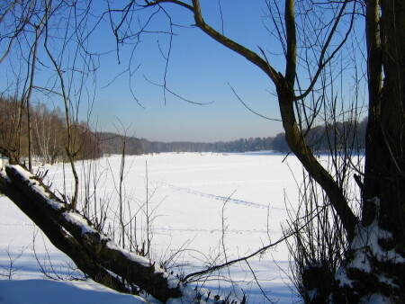 Окно в февраль