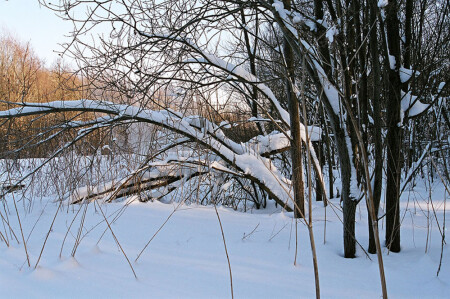 Без названия #1