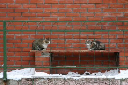 А подслушивать не хорошо...