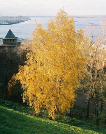 Осенний огонек