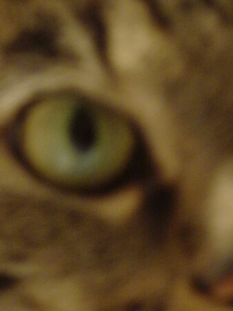 &quot;Взгляд&quot;