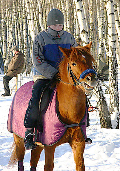 Зимняя прогулка