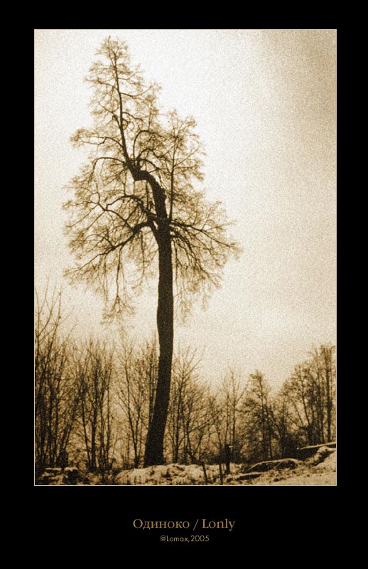 Одиноко/Lonely
