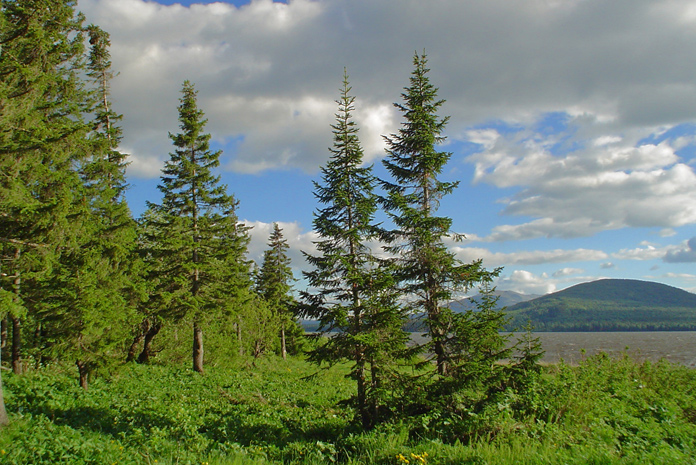 Оз Зюраткуль