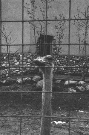 &amp;quot;Есть чего?&amp;quot;