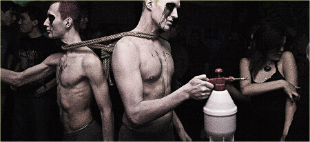 позиция Лагранжа