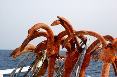 без названия_1