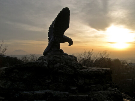 навстречу солнцу