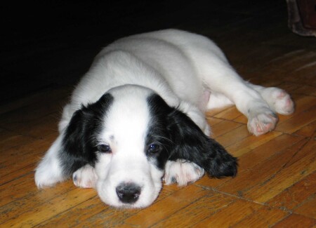 Притомился...