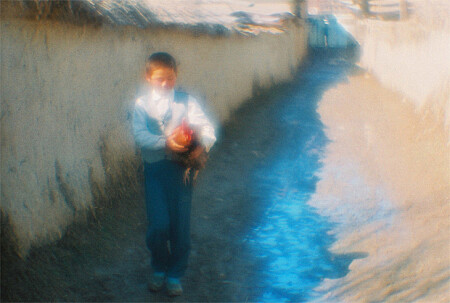 мальчик с петушком