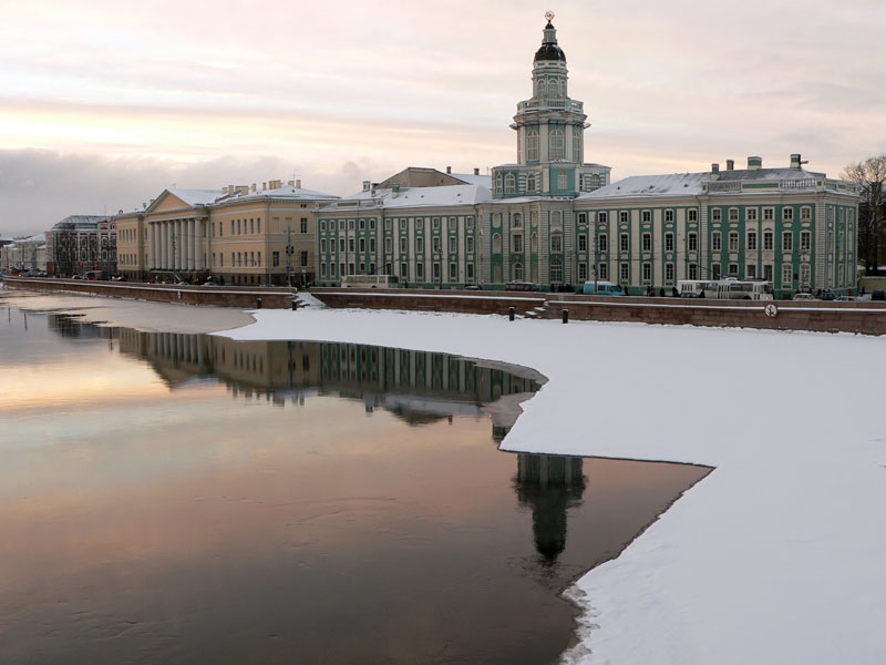 Кунсткамеры