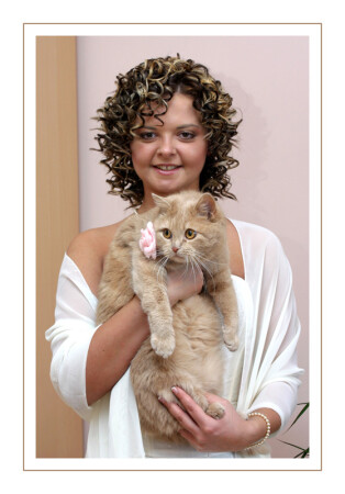 кошечки