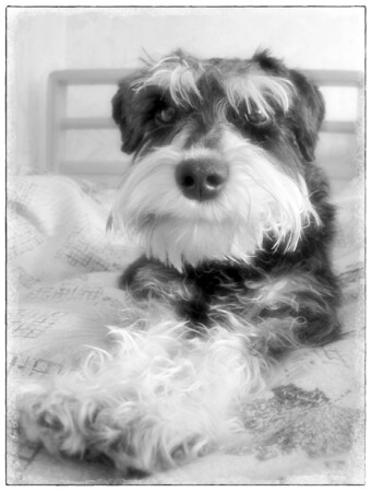 Теперь Я здесь буду спать.