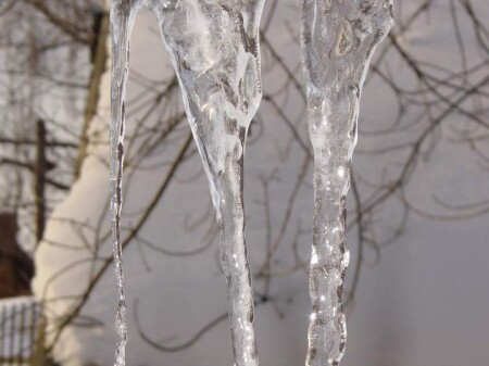 vesennyaya simfoniya