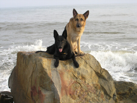 античные рыцари