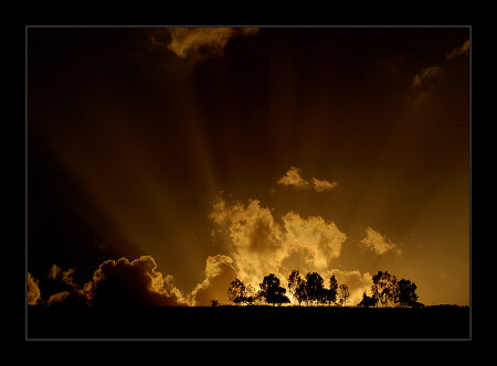 Fire in the Sky