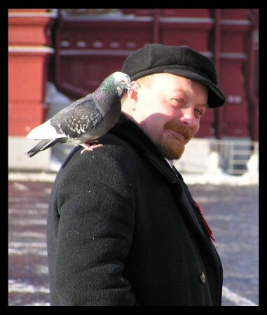 Соратники. :)