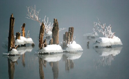 Утренний туман