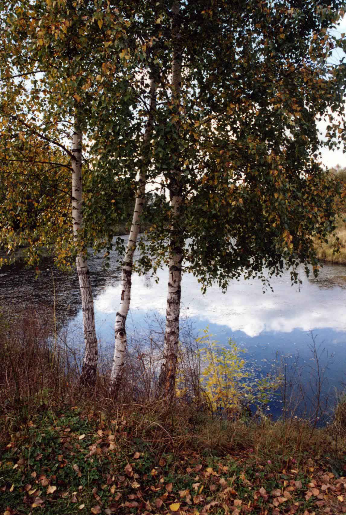 Осень