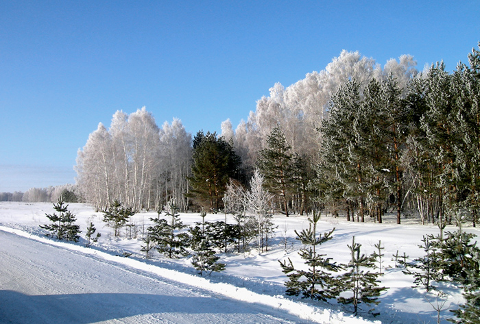 Перелесок