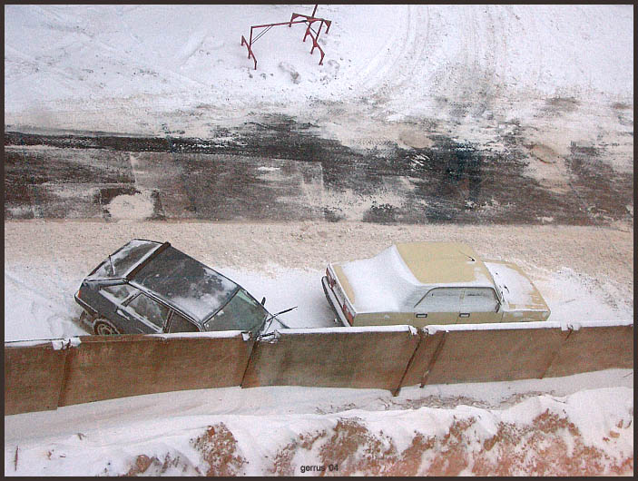 подснежники-2
