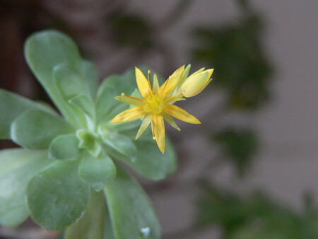 Пробуждение