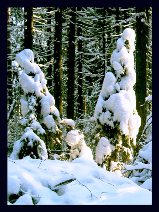 Королевская семья