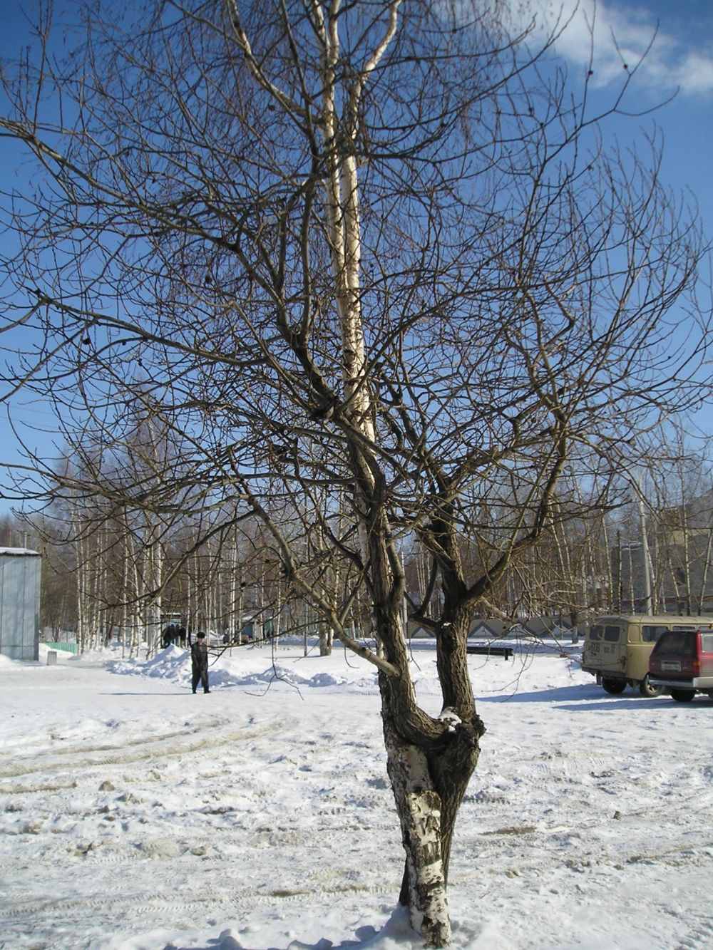 Скрещенье рук, скрещенье ног...судьбы скрещенье...