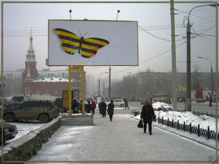 Butterfly