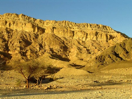 ISRAEL NATIONAL TRAIL в Эйлате (33)