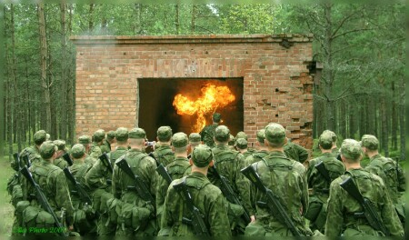 Лесные братья со своими грибами. :0)