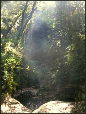 Лучик света в темном царстве