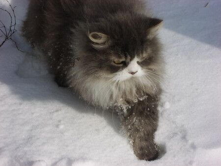  О навалило!