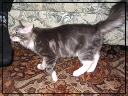 Вот это приход!!! Давно мне так не вставляло.