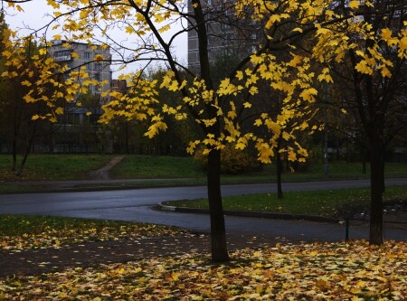 Асеньнея Yлица (стерео)