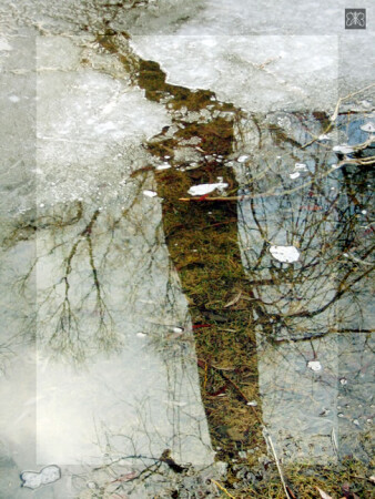 как ива утопилась [how sank a willow]