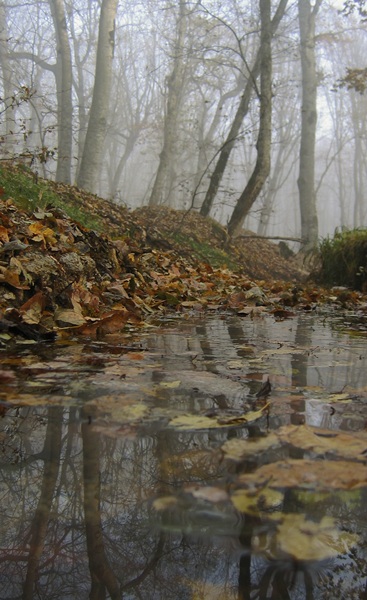 Осенняя вода