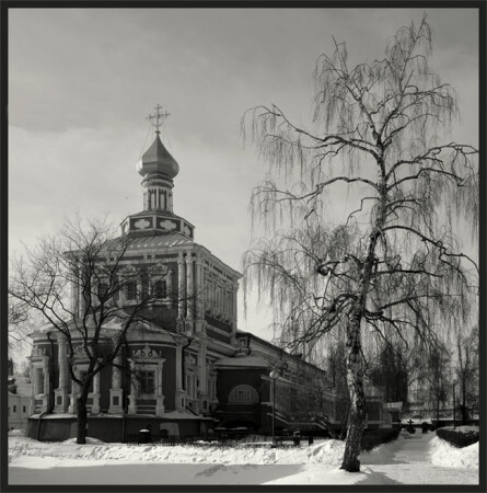 Новодевичий