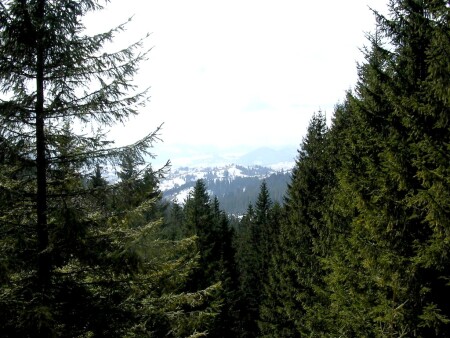 весна в горах