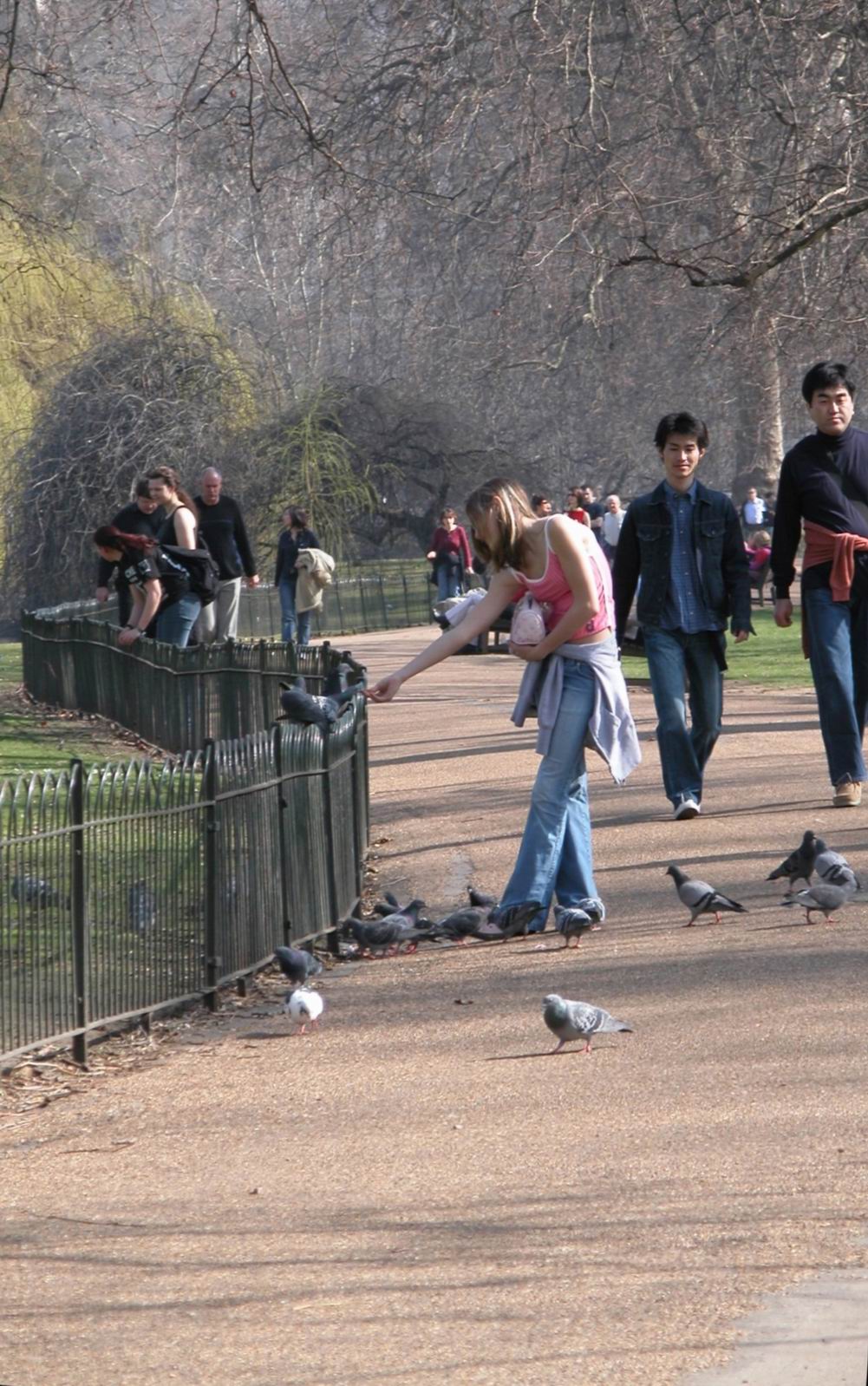 *The Green Park*
