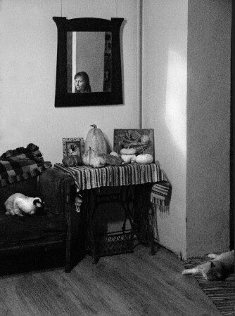 Спокойствие №1