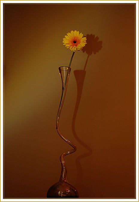 shadow