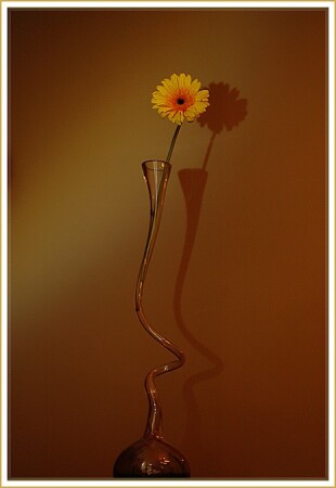 shadow