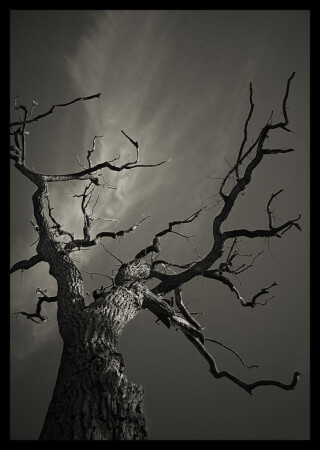Deadly Grace